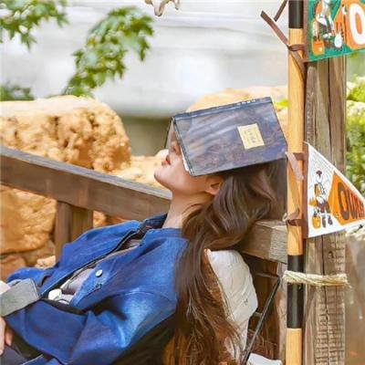 名门绅士2:淑女之心